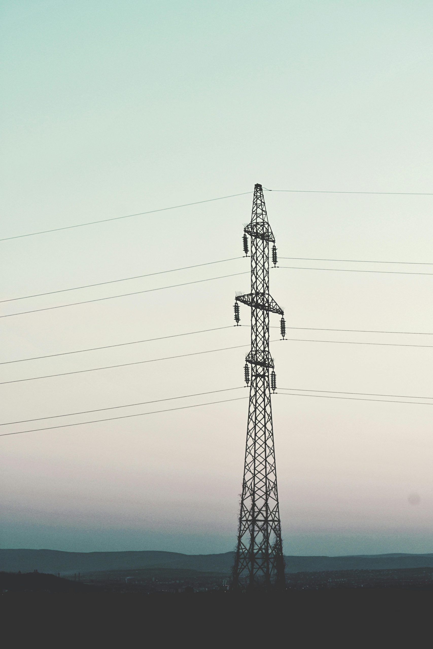 Pexels Didsss 2801055